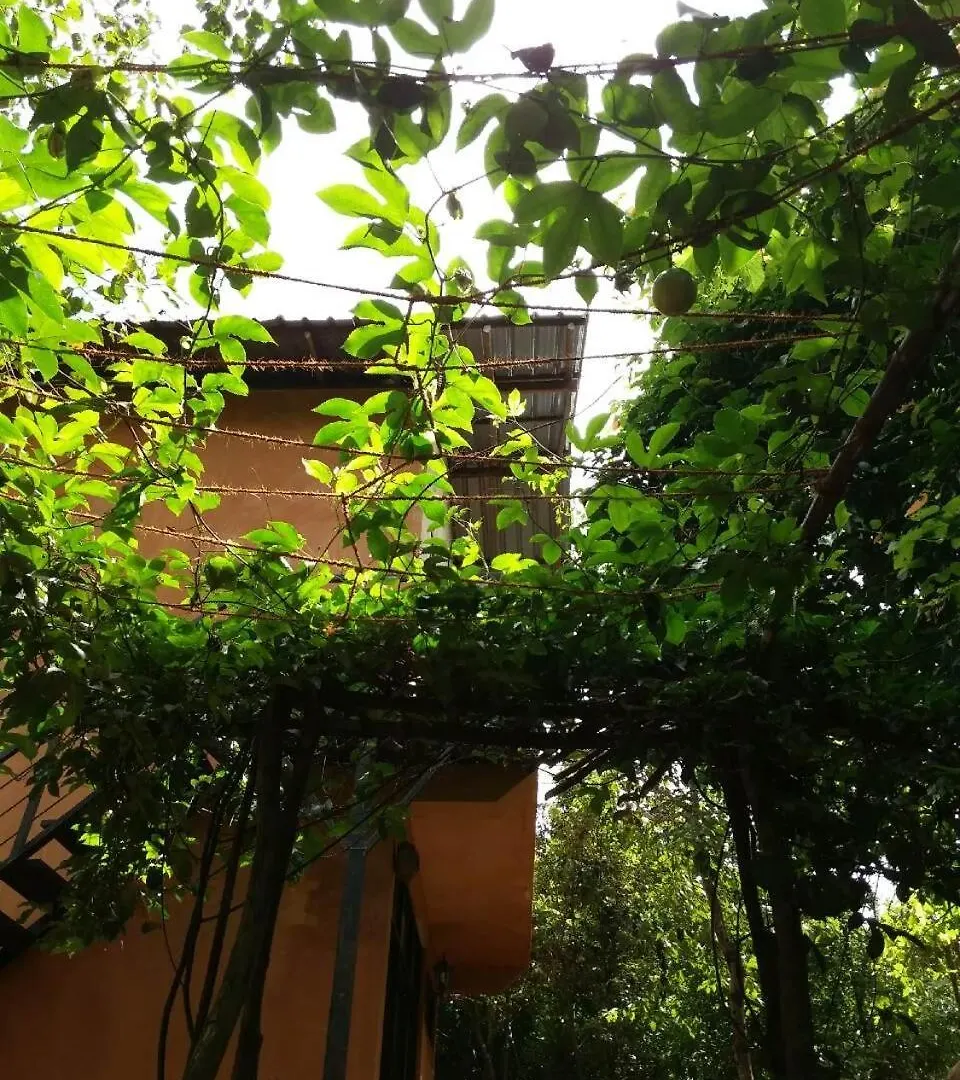 Sigiri Wilderness Resort Avudangawa
